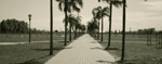 Paseo de los Derechos Humanos